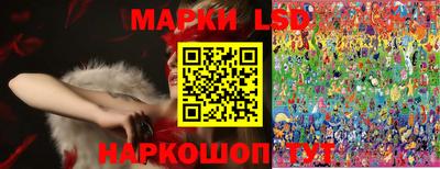 гидропоника Кингисепп