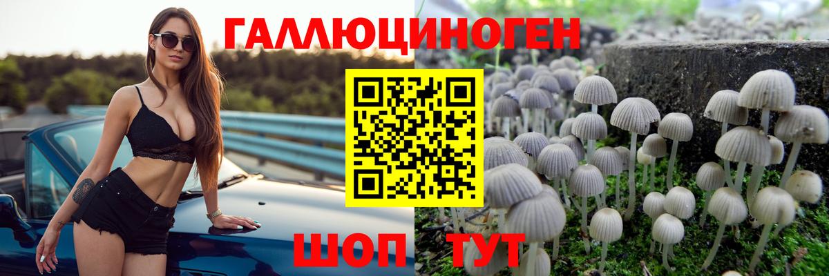 Галлюциногенные грибы мухоморы Кропоткин